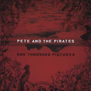 One thousand pictures